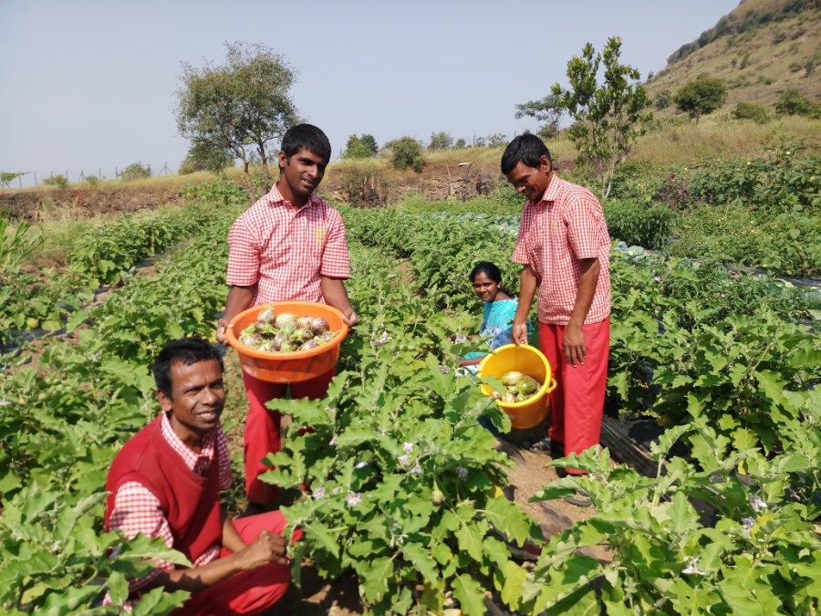 about-farming about-farming